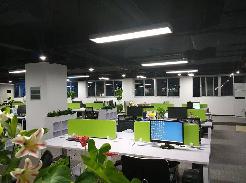 綠色辦公環境展示 綠色辦公環境展示