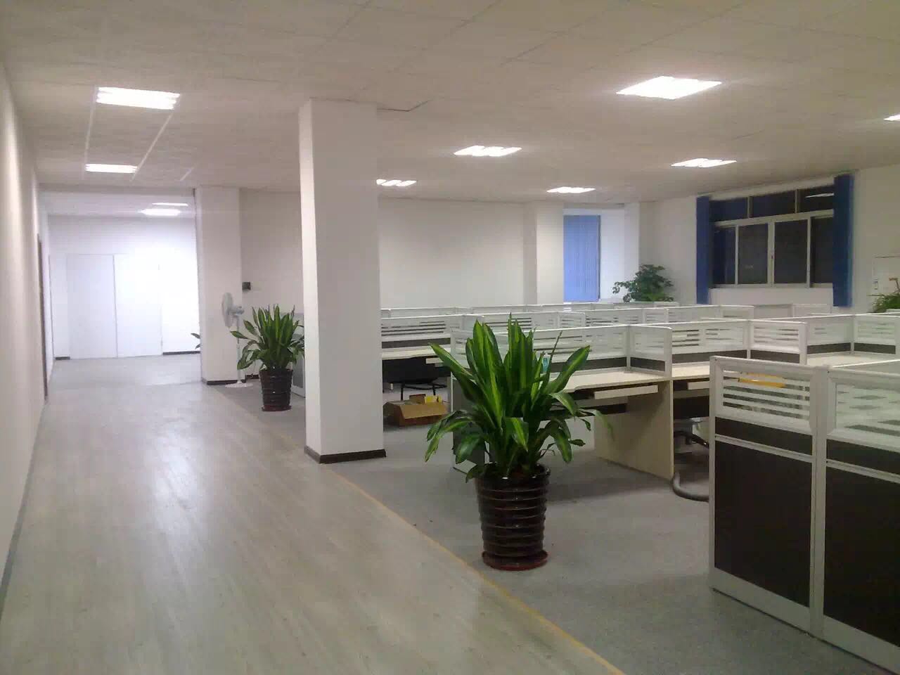 深圳辦公家具廠屏風卡位實拍 深圳辦公家具廠屏風卡位實拍